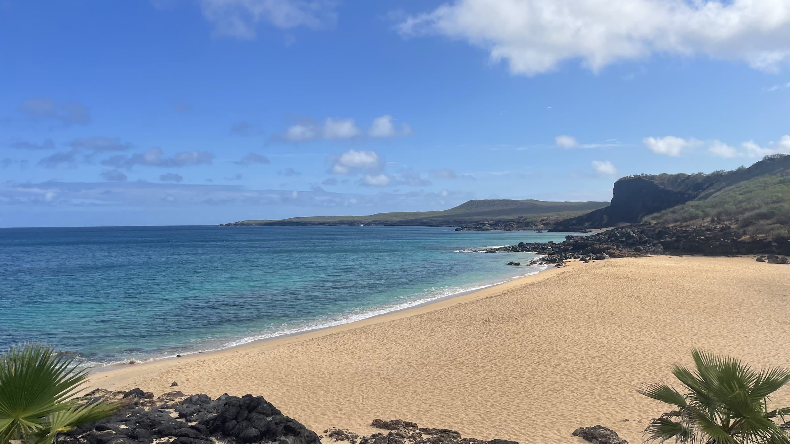 A wide golden-sand beach on Molokaʻi curving toward a rocky point, with turquoise water, dark lava rock and palm fronds in the foreground and a green headland in the distance