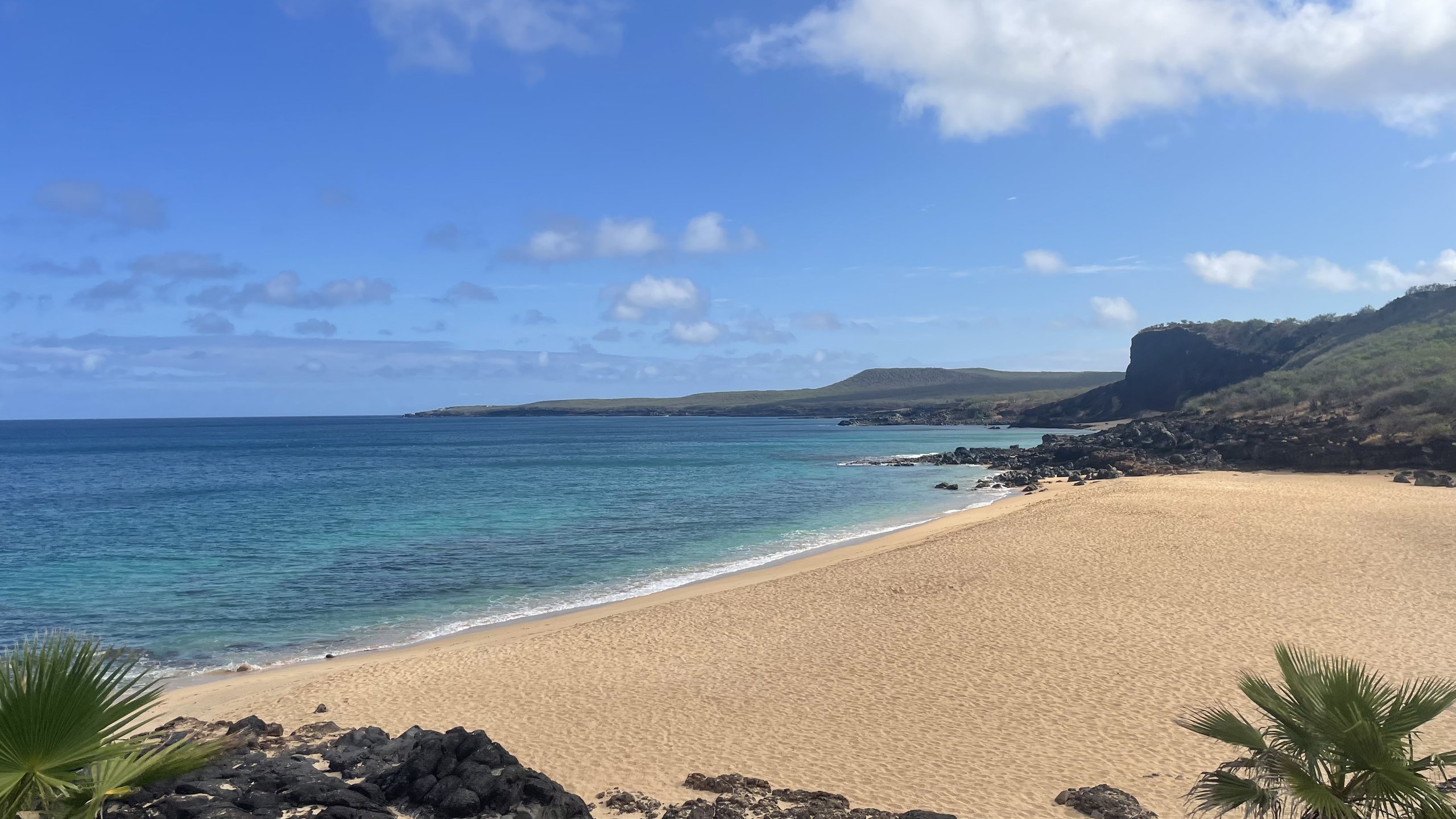 A wide golden-sand beach on Molokaʻi curving toward a rocky point, with turquoise water, dark lava rock and palm fronds in the foreground and a green headland in the distance