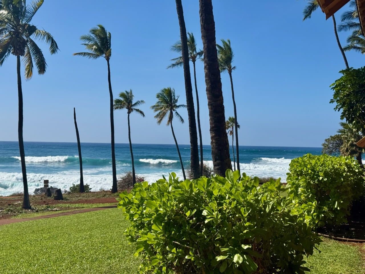 Big surf breaking along Kepuhi Beach below the resort, tall coconut palms leaning over a green lawn and naupaka shrubs, with the open blue Pacific beyond