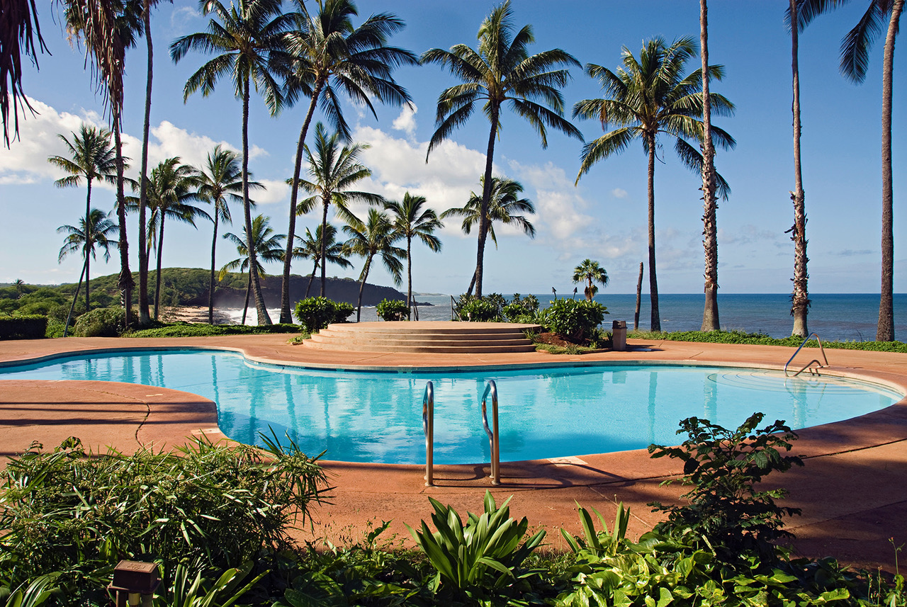 A curving swimming pool ringed by tall coconut palms on red-tinted decking, with the Pacific and a rocky headland beyond