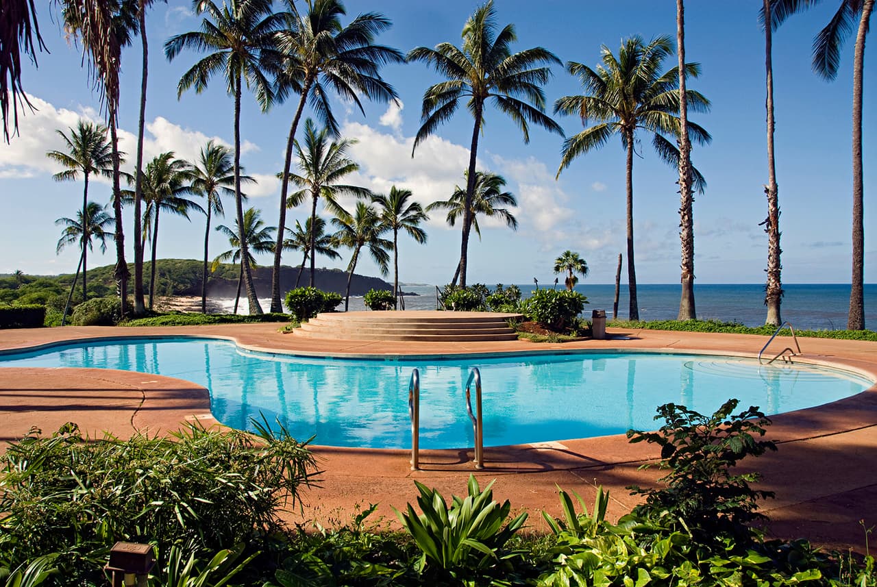 A curving swimming pool ringed by tall coconut palms on red-tinted decking, with the Pacific and a rocky headland beyond
