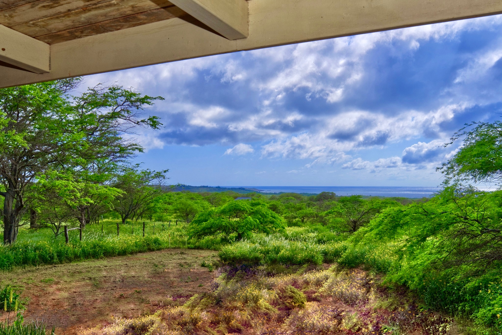 The view from under a covered lanai on Molokaʻi, across kiawe trees and a fenced green pasture to the ocean on the horizon